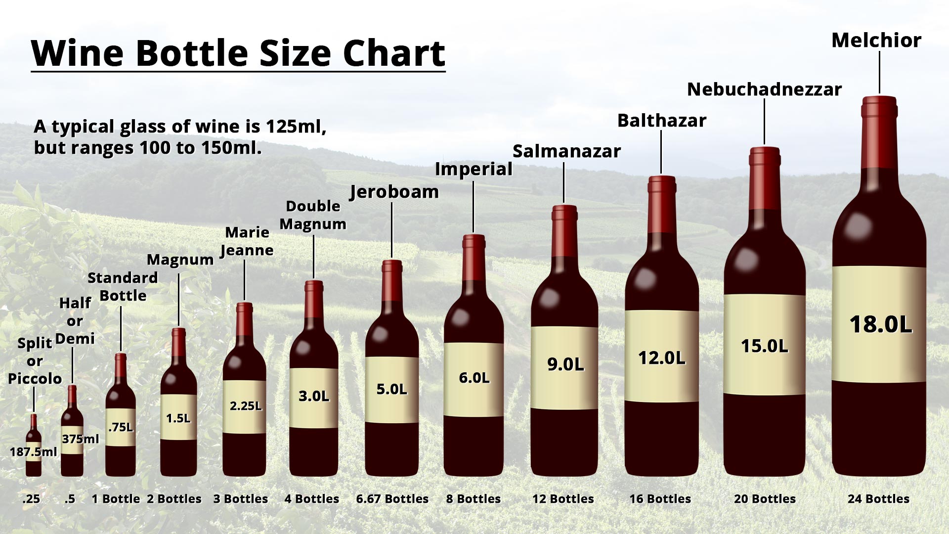 Wine Bottle Names & Sizes - Vinum 55