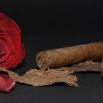 cigars and a rose