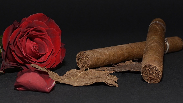 cigars and a rose