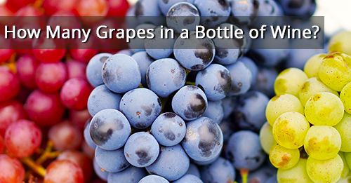 How Many Grapes in a Bottle of Wine? - Products Wizard